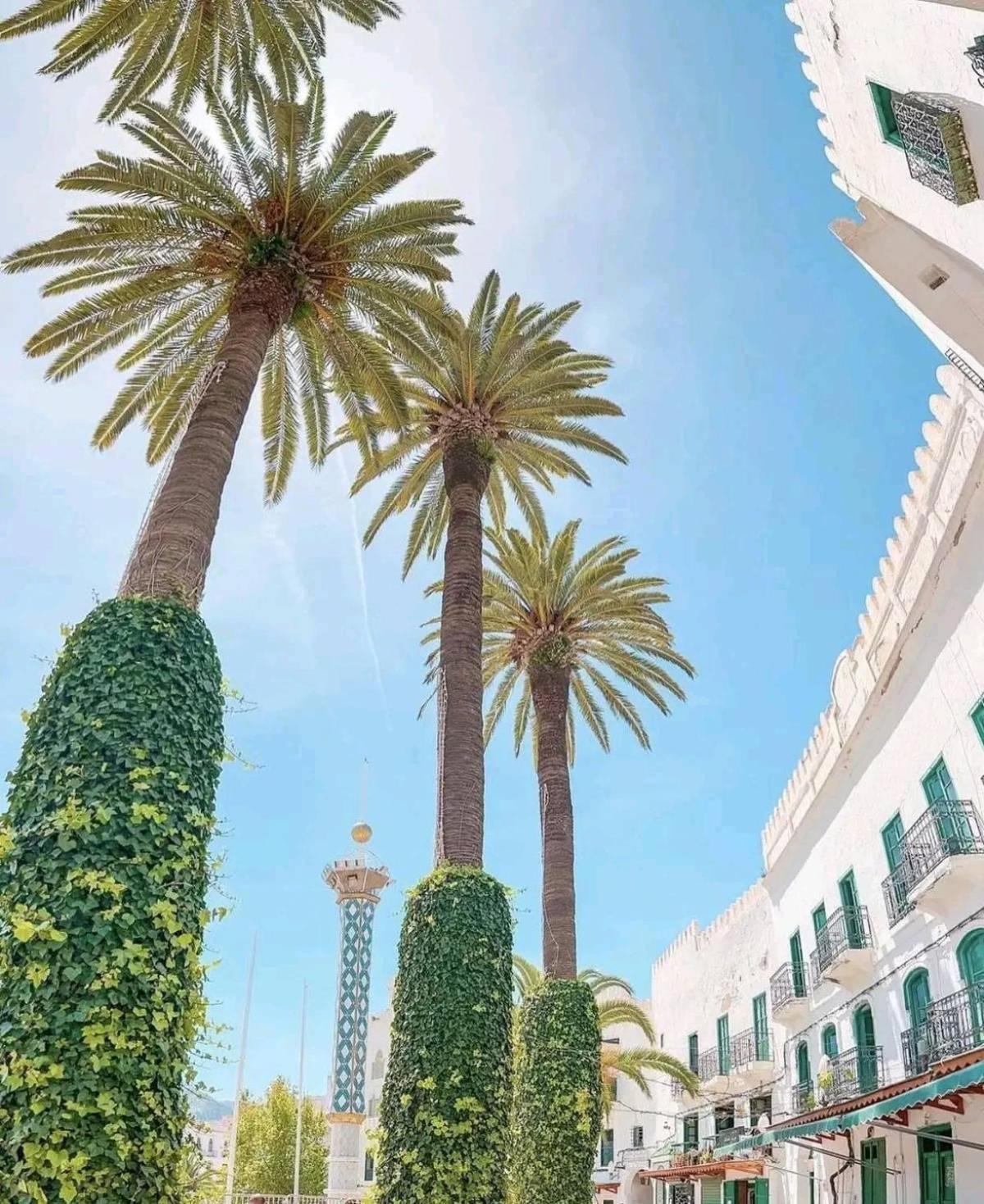 Albergue Casa Marwan Tétouan Exterior foto