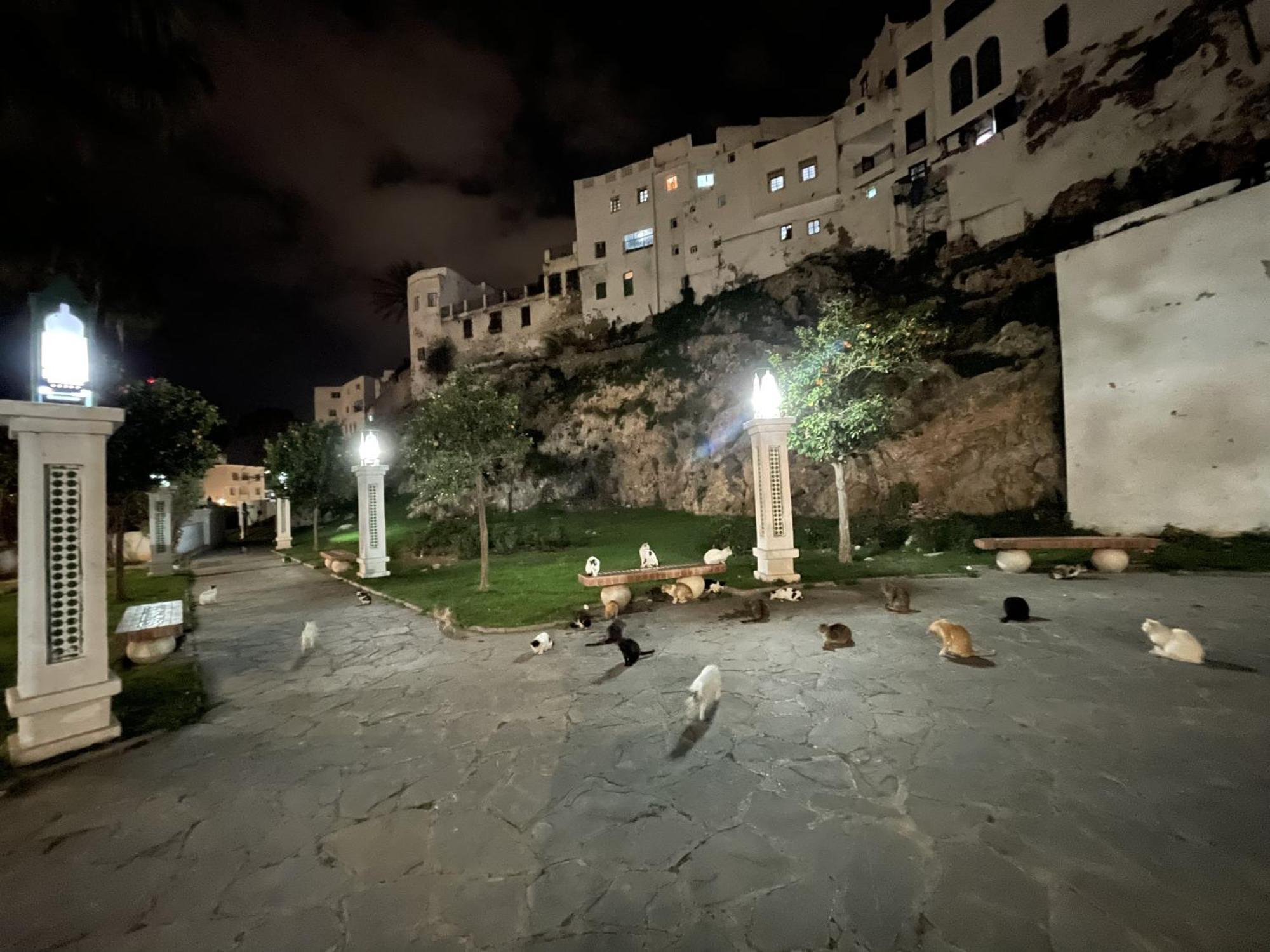 Albergue Casa Marwan Tétouan Exterior foto