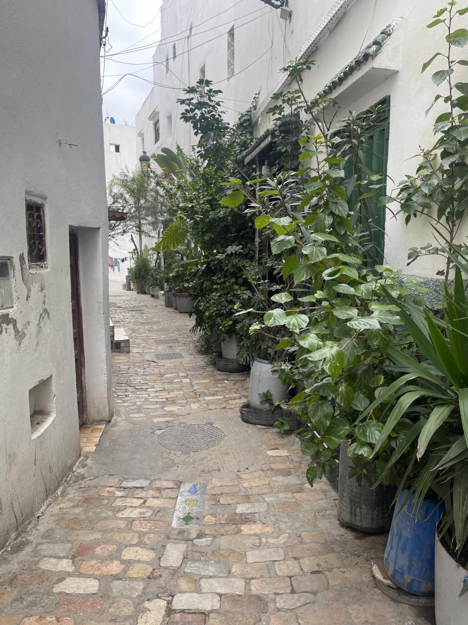 Albergue Casa Marwan Tétouan Exterior foto